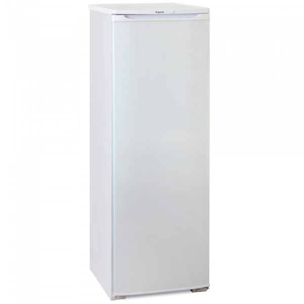 Холодильник Бирюса 107 | Biryusa 107 1000x750 default 600x600