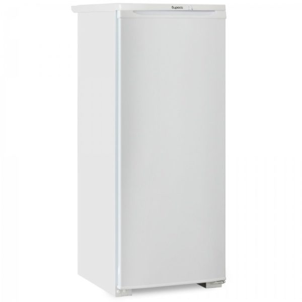 Холодильник Бирюса 110 | Biryusa 110 600x600
